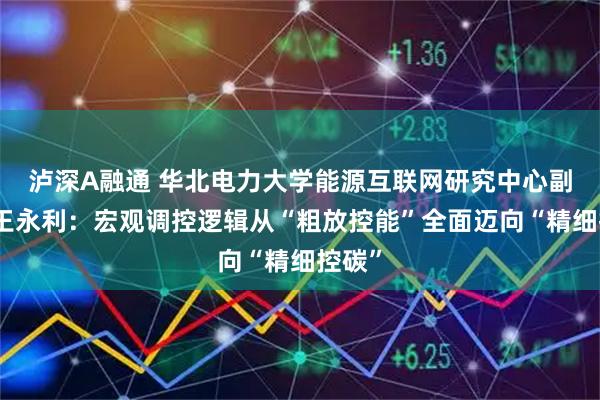 泸深A融通 华北电力大学能源互联网研究中心副主任王永利：宏观调控逻辑从“粗放控能”全面迈向“精细控碳”