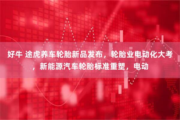 好牛 途虎养车轮胎新品发布，轮胎业电动化大考，新能源汽车轮胎标准重塑，电动