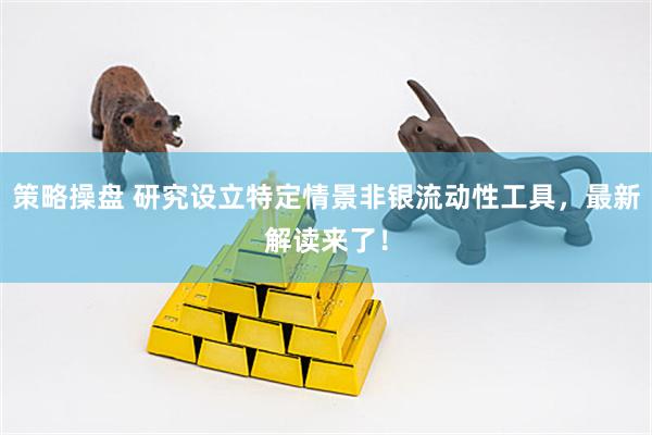 策略操盘 研究设立特定情景非银流动性工具，最新解读来了！