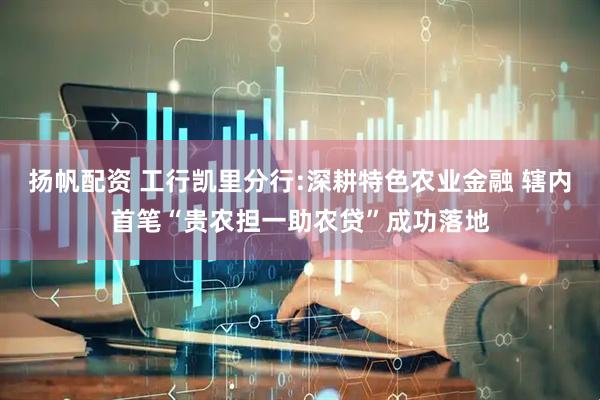 扬帆配资 工行凯里分行:深耕特色农业金融 辖内首笔“贵农担一助农贷”成功落地