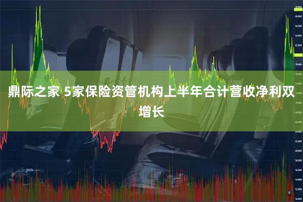 鼎际之家 5家保险资管机构上半年合计营收净利双增长
