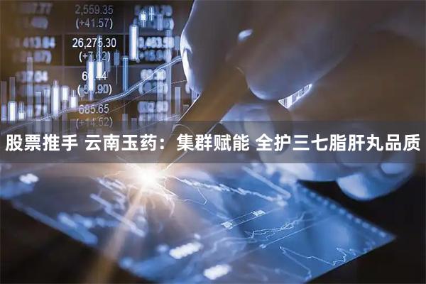 股票推手 云南玉药：集群赋能 全护三七脂肝丸品质