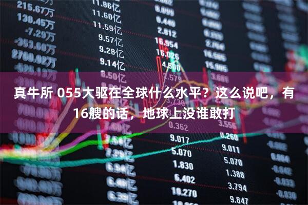 真牛所 055大驱在全球什么水平？这么说吧，有16艘的话，地球上没谁敢打