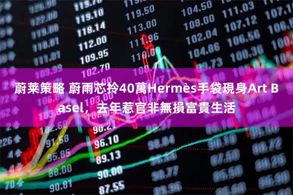 蔚莱策略 蔚雨芯拎40萬Hermès手袋現身Art Basel，去年惹官非無損富貴生活