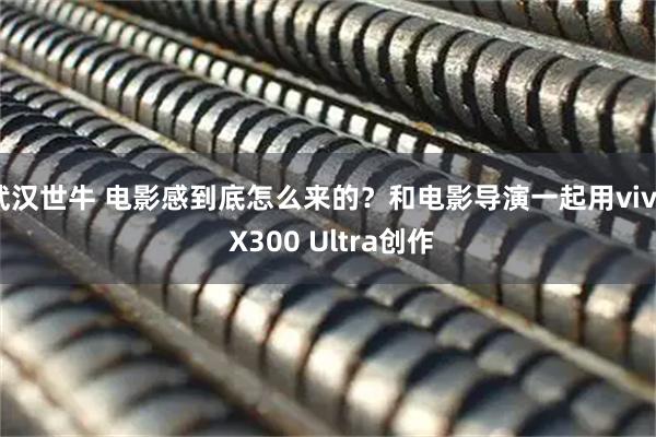武汉世牛 电影感到底怎么来的？和电影导演一起用vivo X300 Ultra创作
