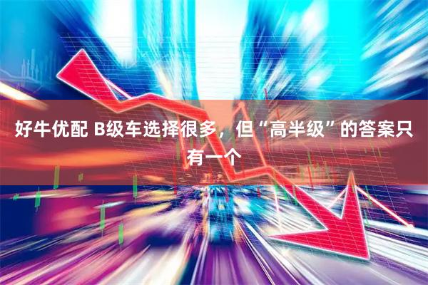 好牛优配 B级车选择很多，但“高半级”的答案只有一个