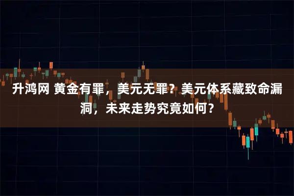 升鸿网 黄金有罪，美元无罪？美元体系藏致命漏洞，未来走势究竟如何？