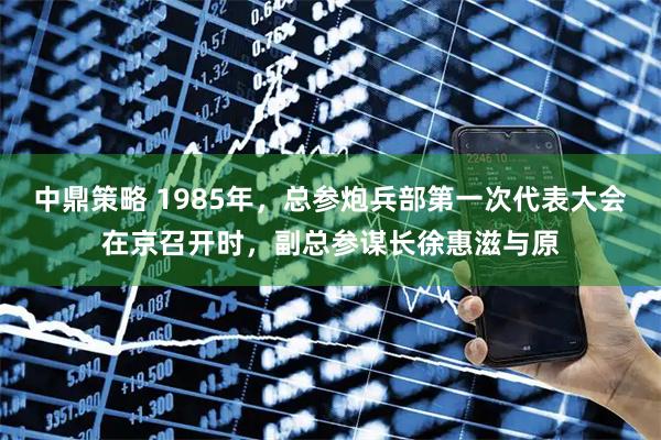中鼎策略 1985年，总参炮兵部第一次代表大会在京召开时，副总参谋长徐惠滋与原