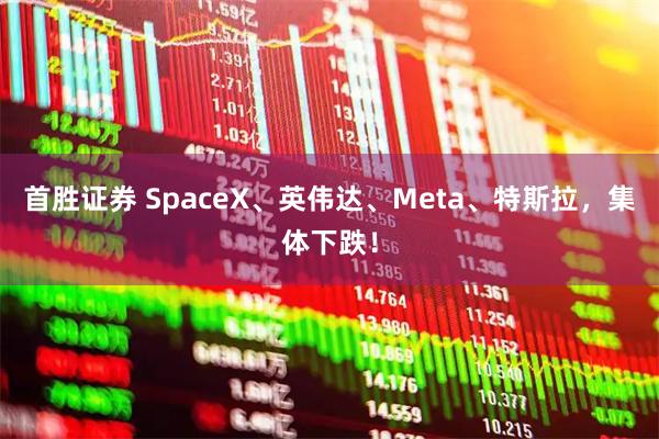 首胜证券 SpaceX、英伟达、Meta、特斯拉，集体下跌！