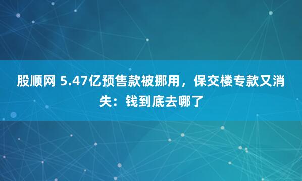 股顺网 5.47亿预售款被挪用,保交楼专款又消失:钱到底去哪了